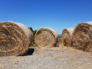 Balle di fieno