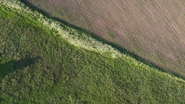 Aerial view of countryside landscape, farmland. Drone flying low over corn field. Rural scenery, farm. summer season