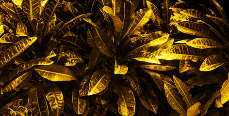 Abstract tree leaf in gold background.