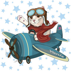 Cute Cat on an airplane. Illustration for children © Mei_Yuan