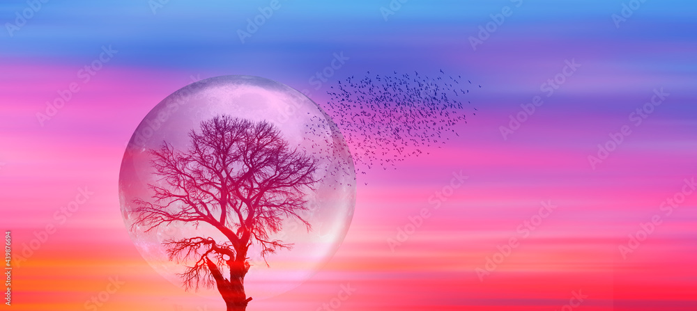 Poster Lone tree with moon at it largest also called supermoon 