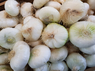Cipolle bianche