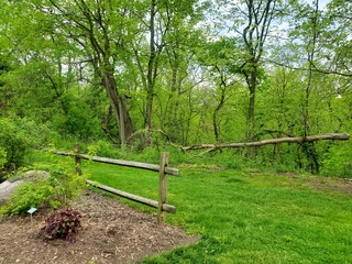 path in the park