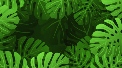 summer background with monstera leaves, tropical plants background