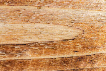 Beautiful wooden texture close up for background