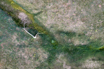 aerial view of shortgrass prairie with a bed of a seasonal creek, Pawnee National Grassland in Colorado, middle June scenery