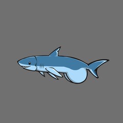 shark cartoon adorable on white