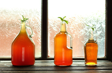 Cold tea drink with beneficial bacteria.  Kombucha for healthy nutrition. 