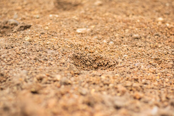 ground with brown pebbles as background