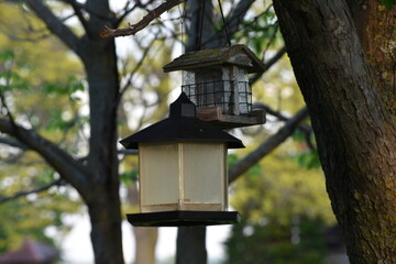 bird house on tree
