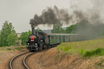 Obraz na płótnie Canvas Steam train near Sazava river in south of Prague in summer cloudy day