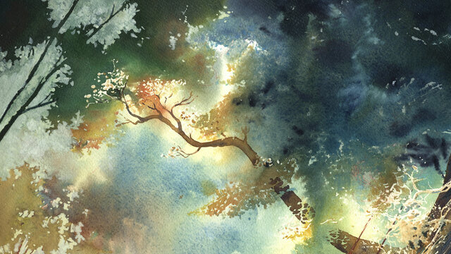 watercolor background, magical forest. bright foliage, woods