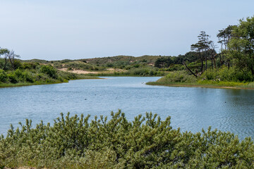 Obraz premium Water reservoir surrounded by vegetation in the dunes of Wassenaar 