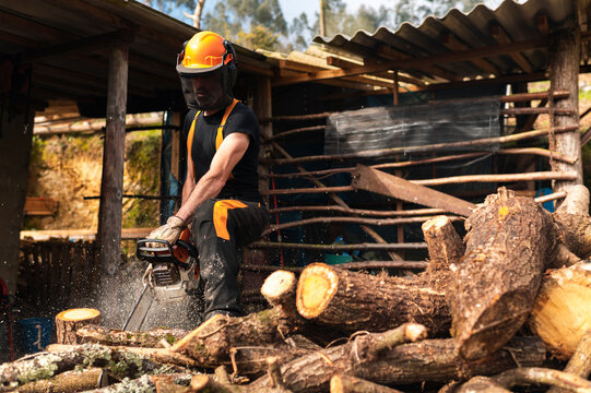 Man cutting wood with chainsaw at sawmill 