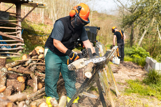 Lumberman cutting wood with chainsaw 