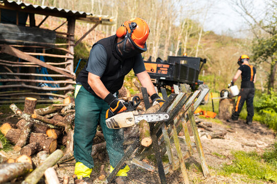 Lumberjack cutting wood with chainsaw 
