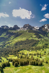 Luftaufnahme vom Gantrisch (Gurnigel) Schweiz Juni 2021  - obrazy, fototapety, plakaty