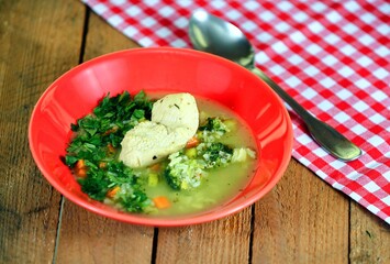 Green soup with broccoli, pore, carrot, parsley, green bean and rabbit meat in a red bowl on wooden background.