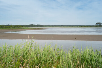 Mud flats dominate the landscape as the fresh water river delta fans out across the fertile grass...