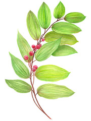 Fototapeta premium Leaves. Decorative composition on a white background. Floral motifs. Use printed materials, signs, items, websites, maps, posters, postcards, packaging.