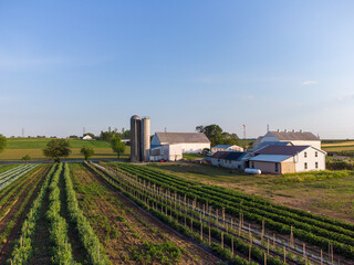 Aerial View of Farm and Farmland