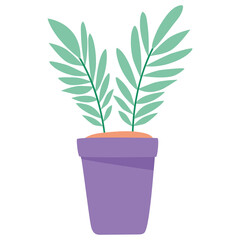 plant in purple pot