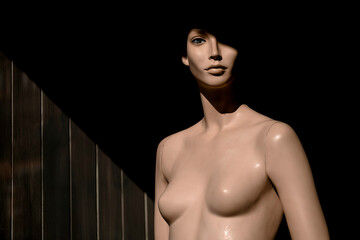 Mannequin
