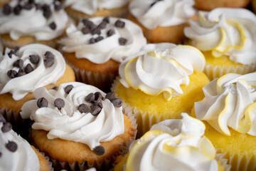 Lemon and Chocolate Chip Cupcakes
