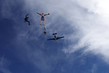 Fototapeta na wymiar Skydiving. SKydivers are having fun in the blue sky.