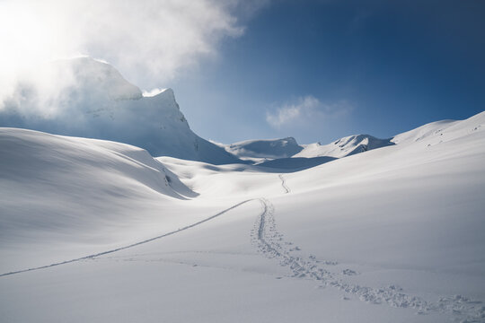 Tracks of ski mountaineers in the wild