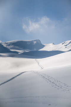 Ski touring tracks on wide open winter landscape