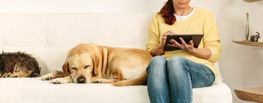 Anonymous Woman using ipad 