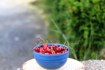 Bowl of fresh cherries, served in a garden. Selective focus.