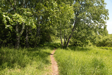 Fototapeta na wymiar A path leading through the park on a sunny day