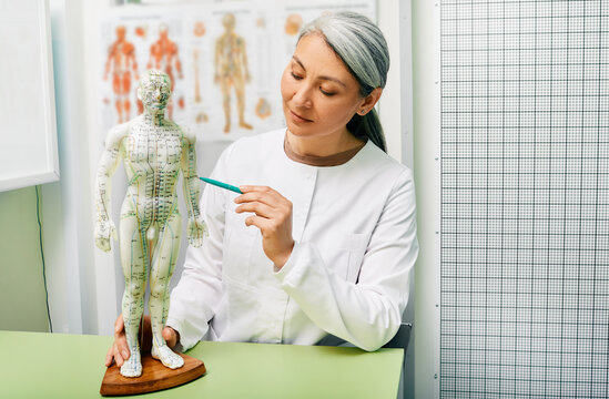 Mature woman acupuncturist, doctor of traditional Chinese medicine showing points on acupuncture model of human body