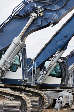 Blue Diggers in a row