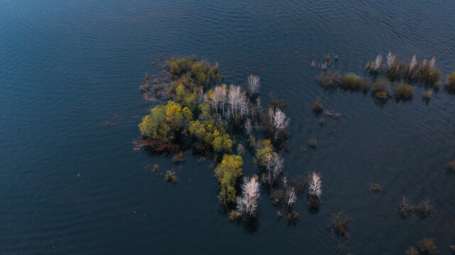 Drone shot of trees flooded by the river