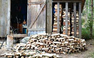 Piles of chopped firewood drying