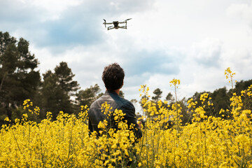 Man flying drone in a yellow flower field