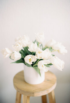 white tulips