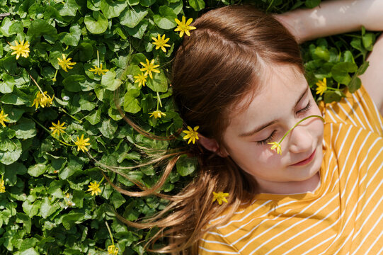 Little Girl Lying in Patch of Yellow Flowers with Flower on Nose