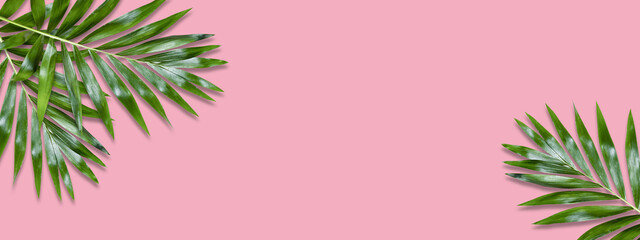 Fototapeta na wymiar Minimal tropical green palm leaf on pink paper background. Flat lay Top view with copy space for your text.