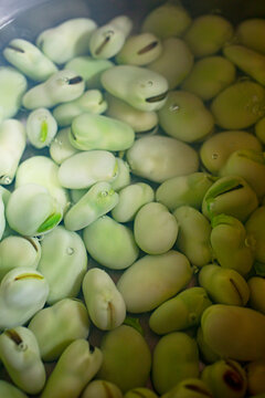 Cooking broad beans