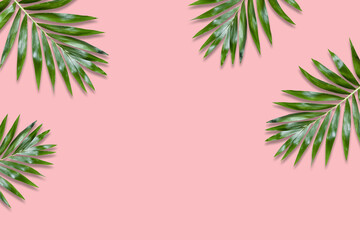 Fototapeta premium Minimal tropical green palm leaf on pink paper background. Flat lay Top view with copy space for your text.