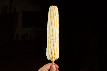 natural white corn on the cob boiled on black background