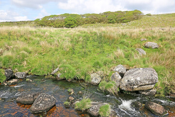 Fototapeta na wymiar West Dart River in Dartmoor, Devon 