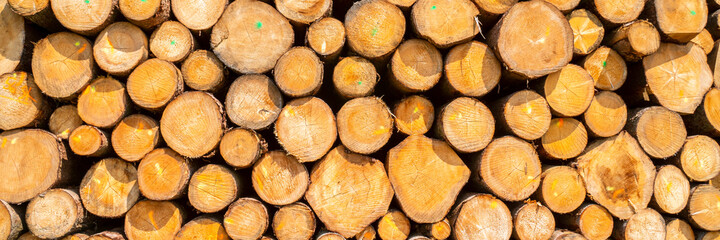 Storage place for wood logs