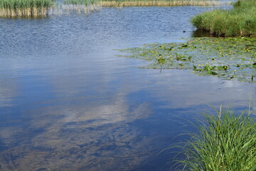 étang reflet eau ciel nuage bleu verdure herbe nature lac
