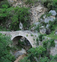 Fototapeta na wymiar petit pont médiéval dans son écrin de verdure