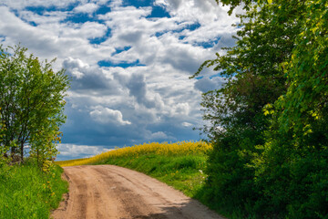 Fototapeta premium road to the sky